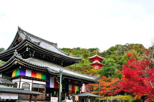 今熊野観音寺