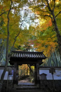 竹の寺地蔵院